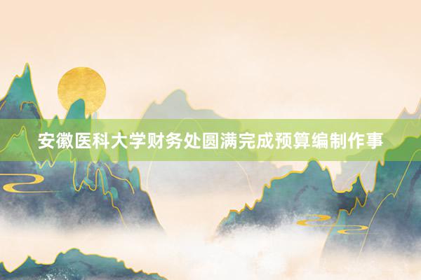 安徽医科大学财务处圆满完成预算编制作事